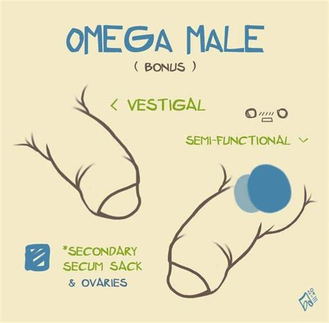 can male omegas get pregnant.